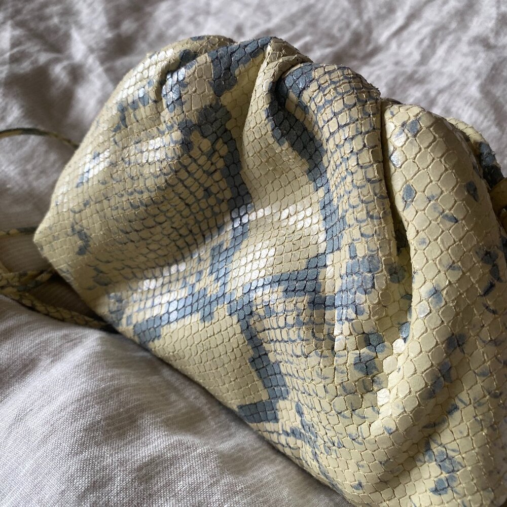 Bottega Veneta Python Clutch